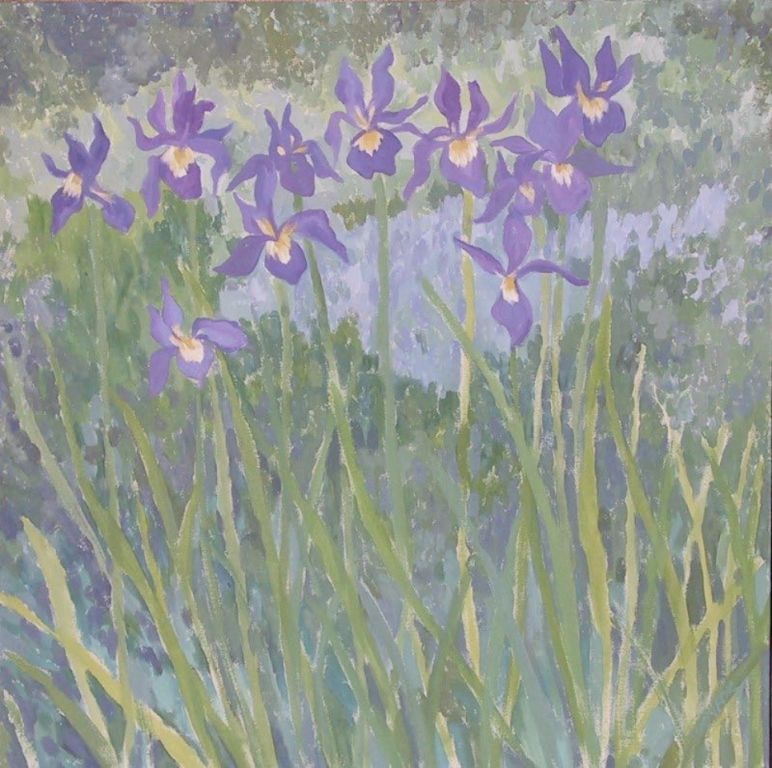 Irises I have Known 2002