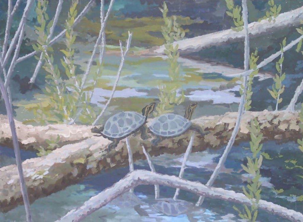 Premier Lake Turtles 2002